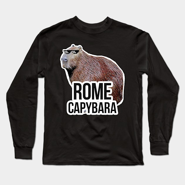 Rome capybara meme Long Sleeve T-Shirt by NeedsFulfilled